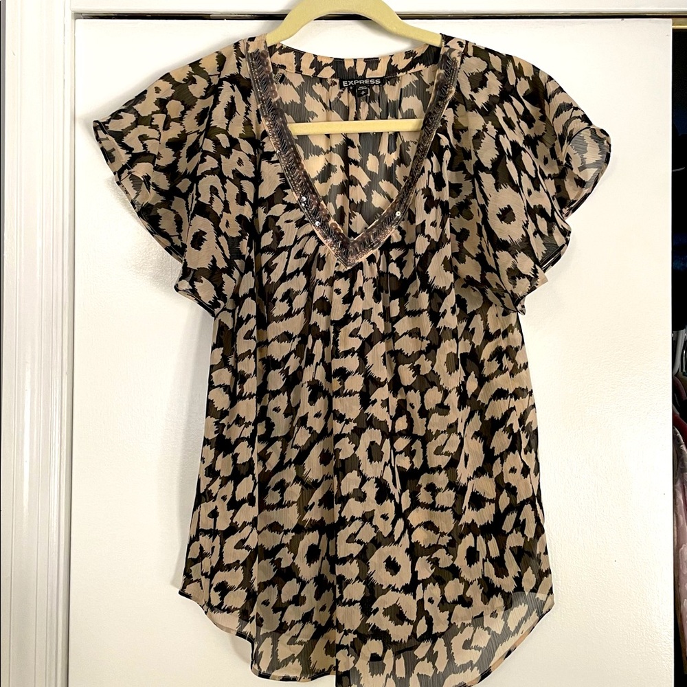 Small Express Sheer Leopard V-Neck Top